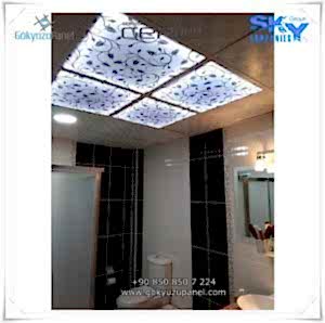 Gergi Tavan Gökyüzü Panel 13