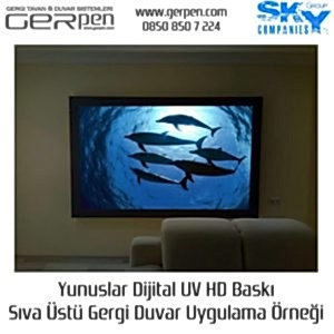 Gergi Duvar Yunuslar 100x200cm Uygulaması