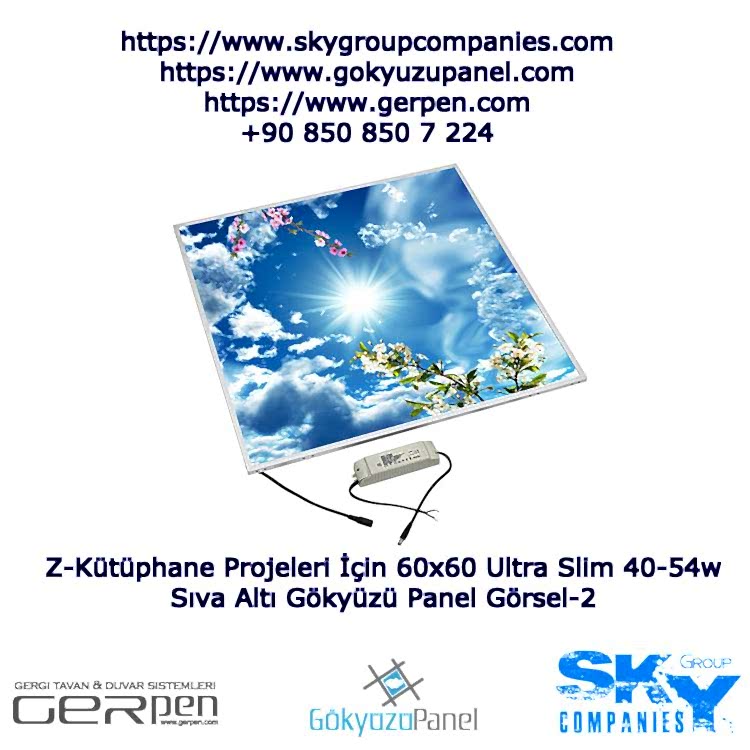 Z-Kütüphane İçten Led Aydınlatmalı 60x60 Baskı Panel