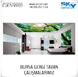 Bursa Gergi Tavan 5