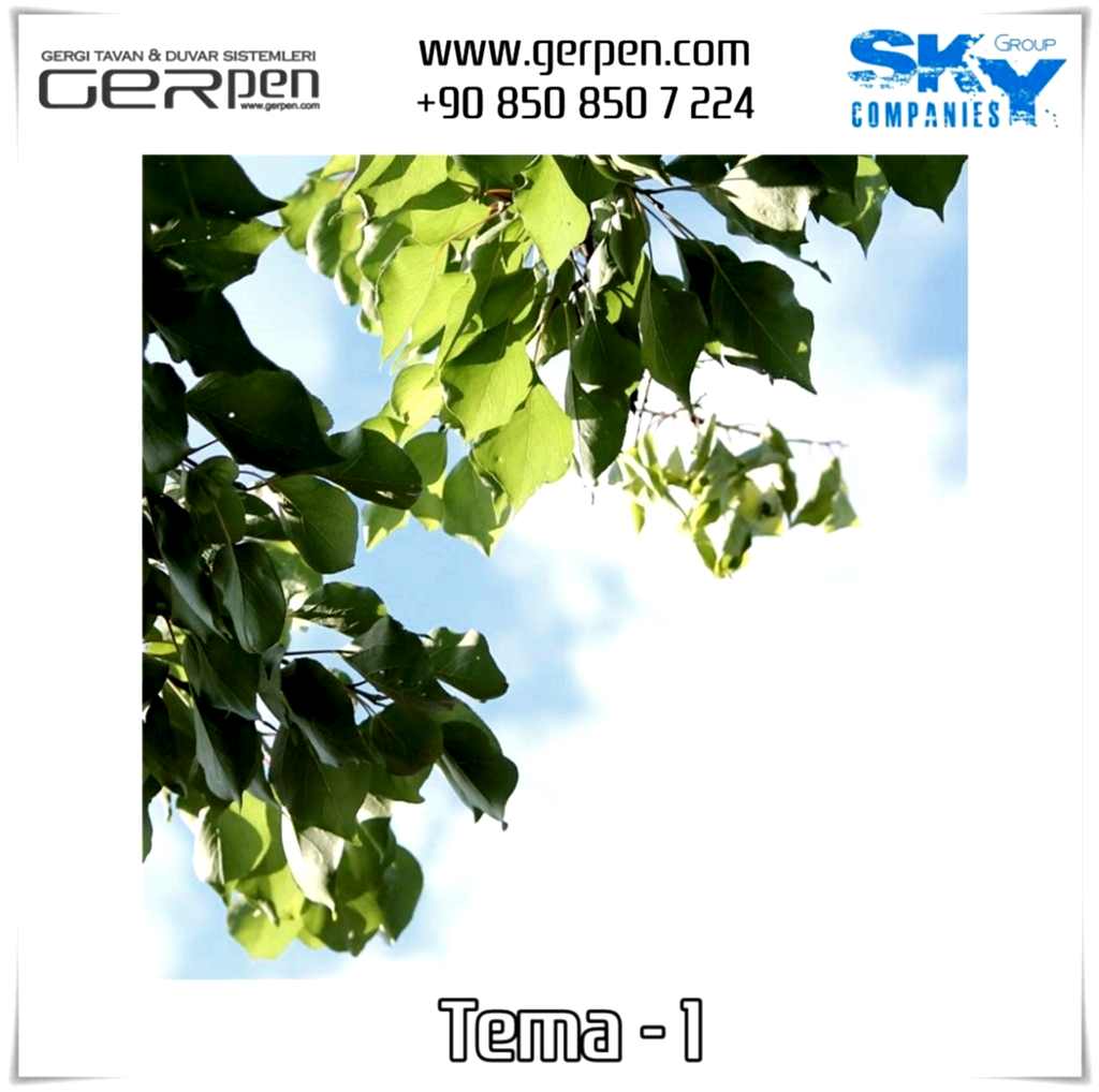 Gergi Tavan Ağaçlı Gökyüzü Tema 1