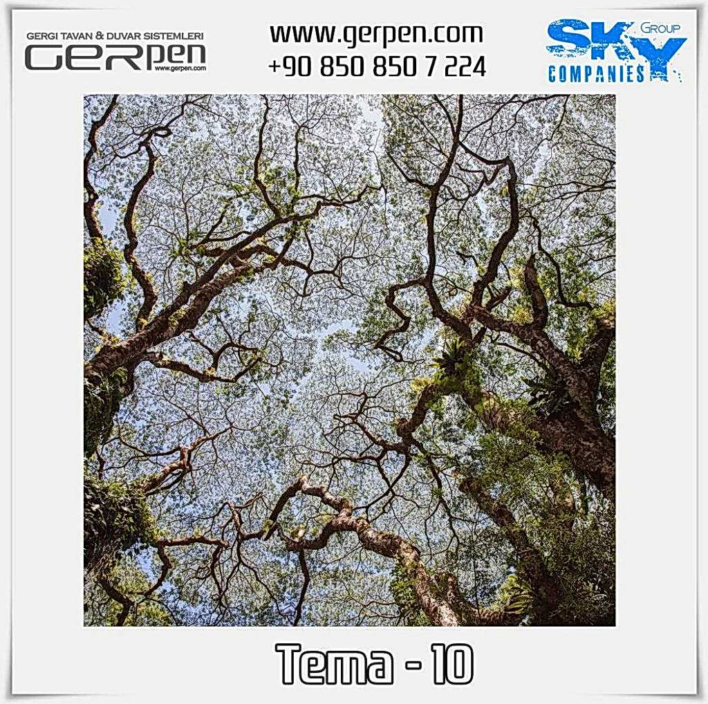 Gergi Tavan Ağaçlı Gökyüzü Tema 10