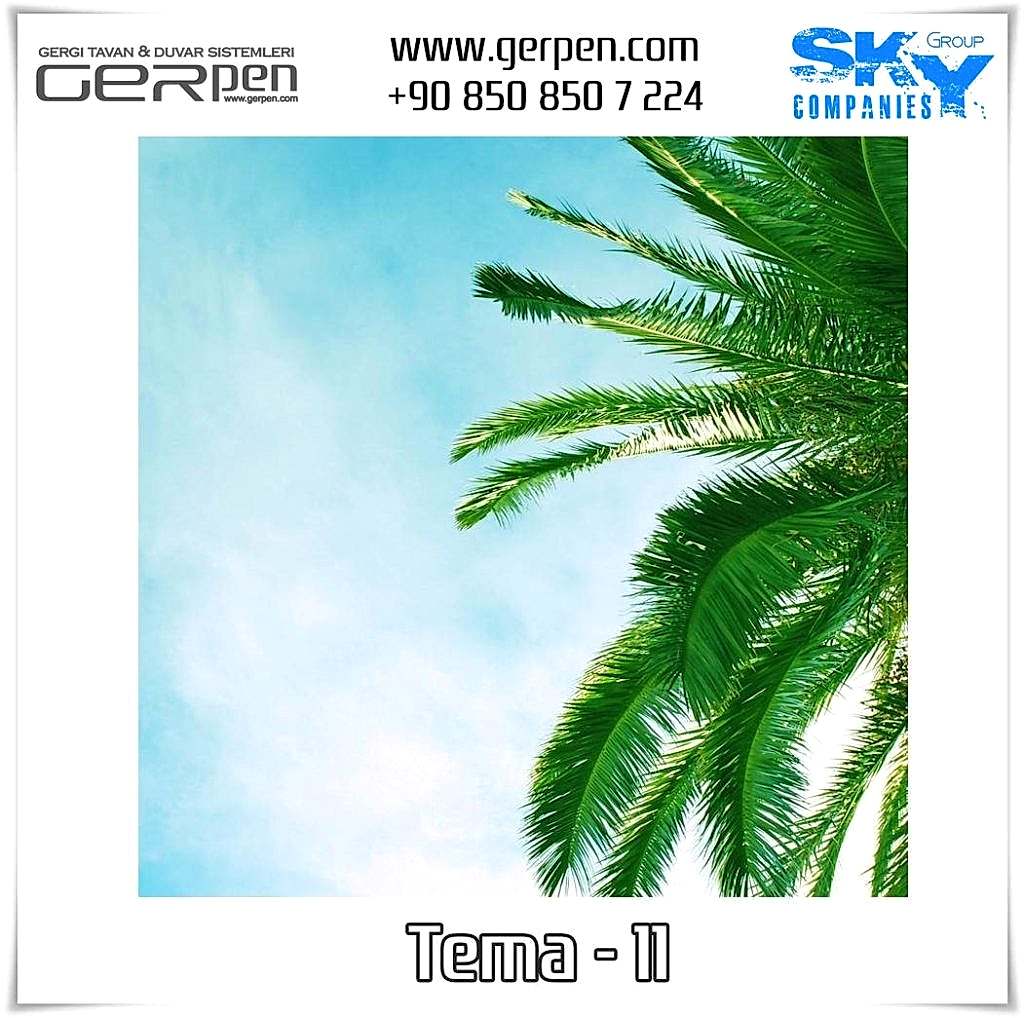 Gergi Tavan Ağaçlı Gökyüzü Tema 11
