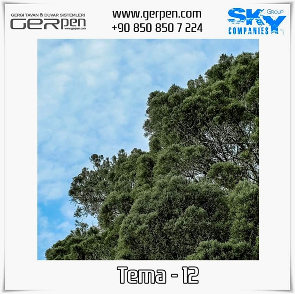 Gergi Tavan Ağaçlı Gökyüzü Tema 12