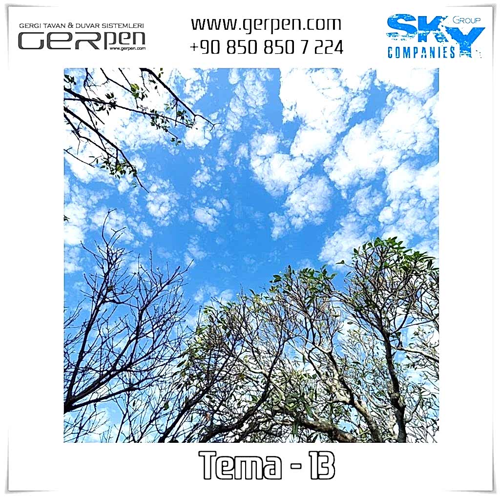 Gergi Tavan Ağaçlı Gökyüzü Tema 13