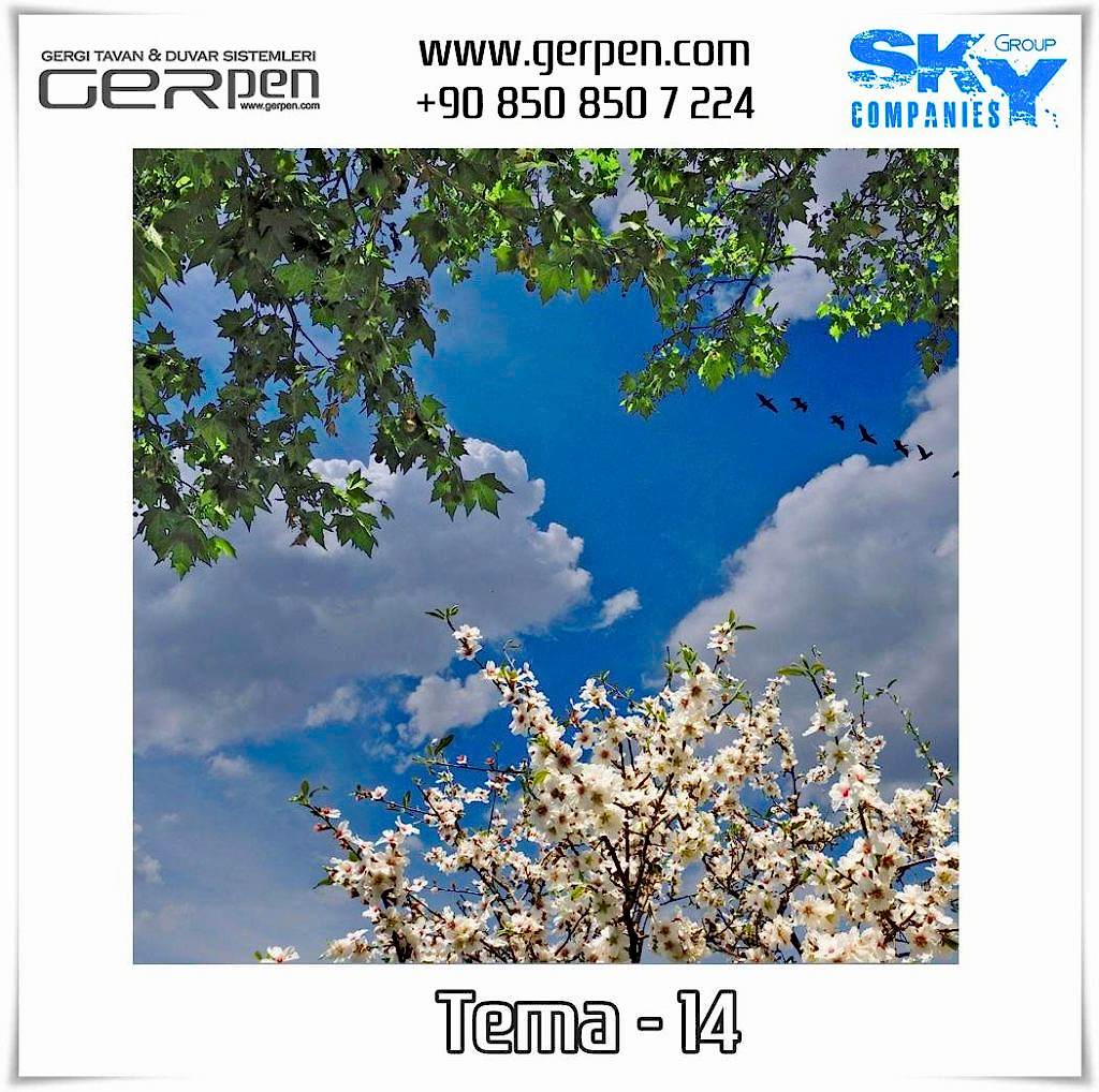 Gergi Tavan Ağaçlı Gökyüzü Tema 14