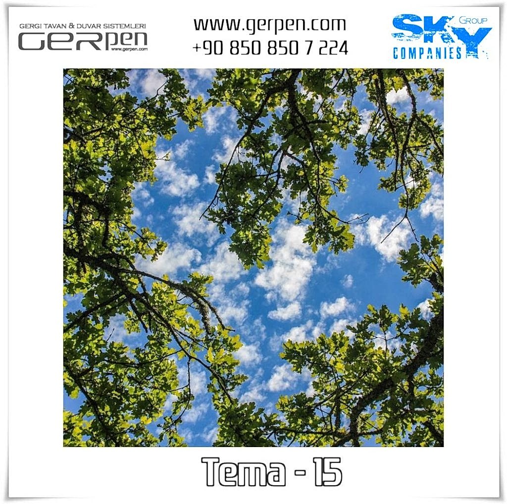 Gergi Tavan Ağaçlı Gökyüzü Tema 15