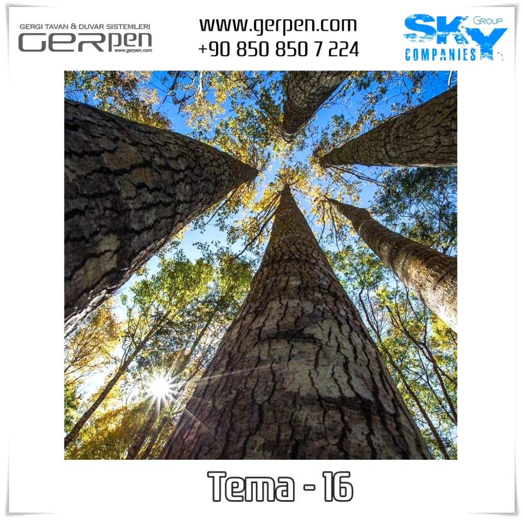 Gergi Tavan Ağaçlı Gökyüzü Tema 16