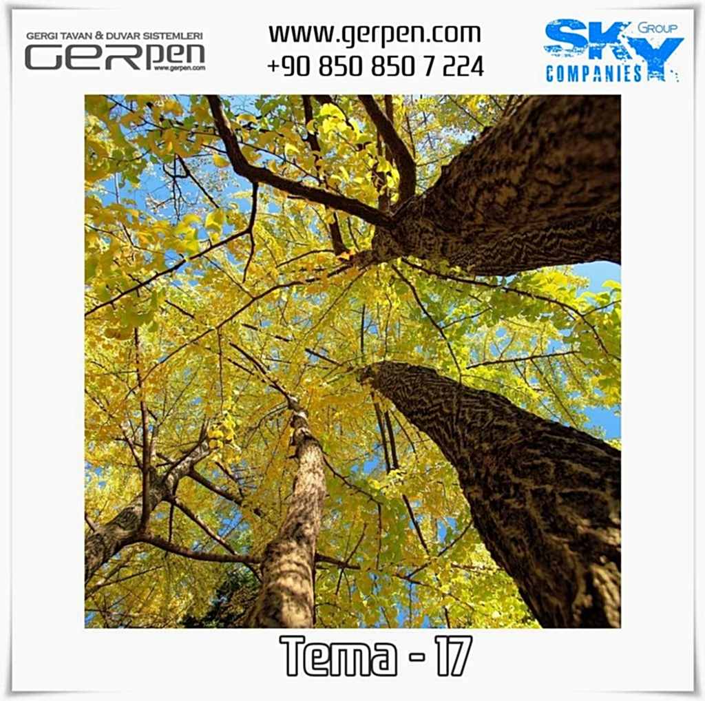 Gergi Tavan Ağaçlı Gökyüzü Tema 17