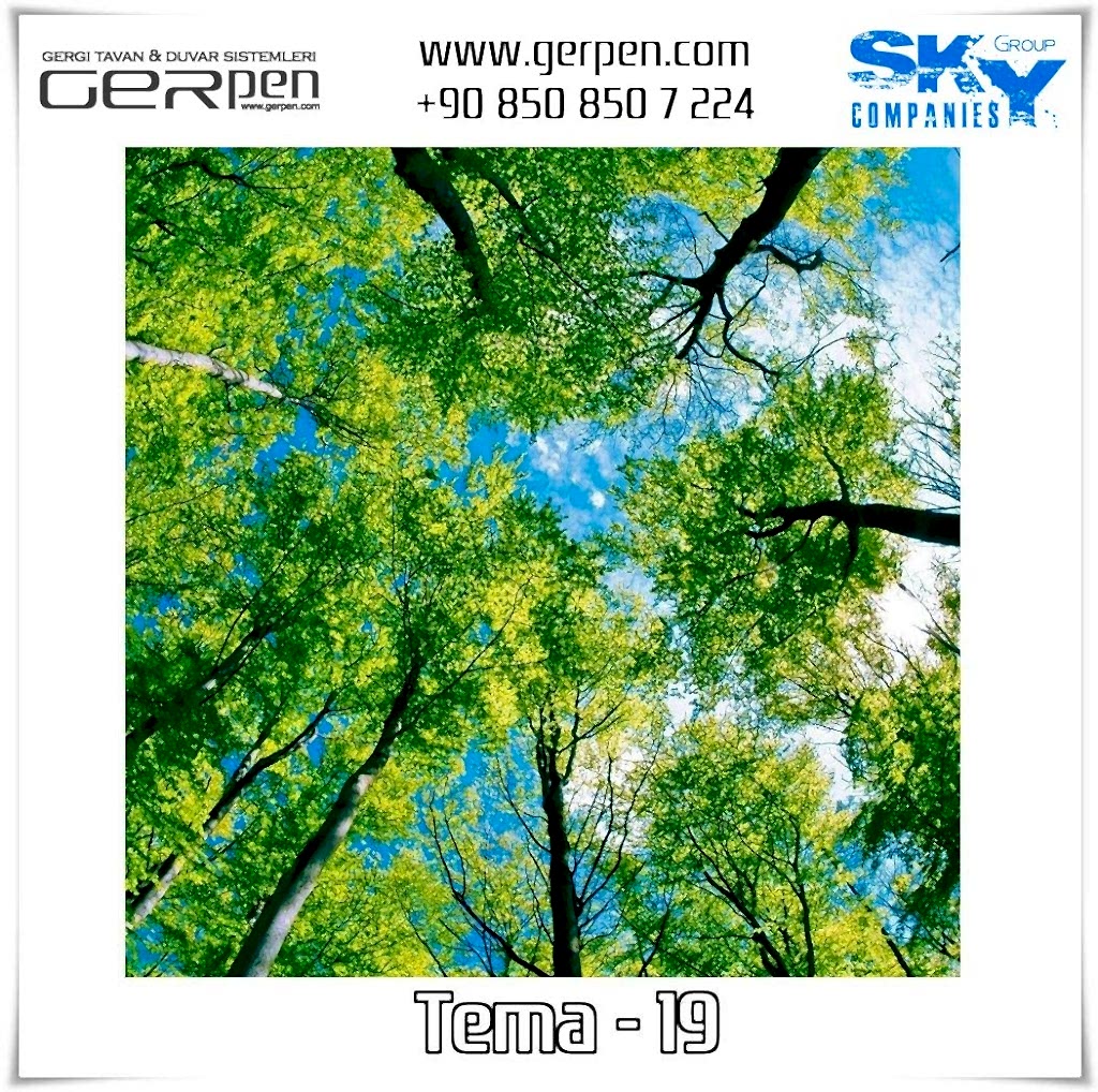 Gergi Tavan Ağaçlı Gökyüzü Tema 19