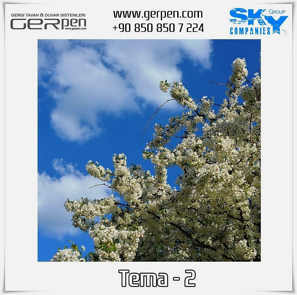 Gergi Tavan Ağaçlı Gökyüzü Tema 2