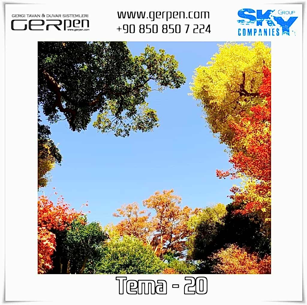 Gergi Tavan Ağaçlı Gökyüzü Tema 20