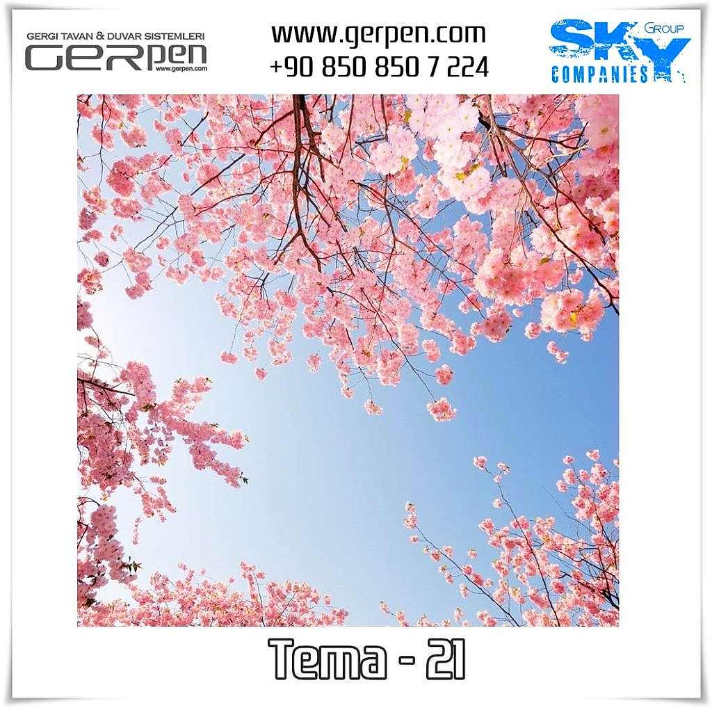 Gergi Tavan Ağaçlı Gökyüzü Tema 21