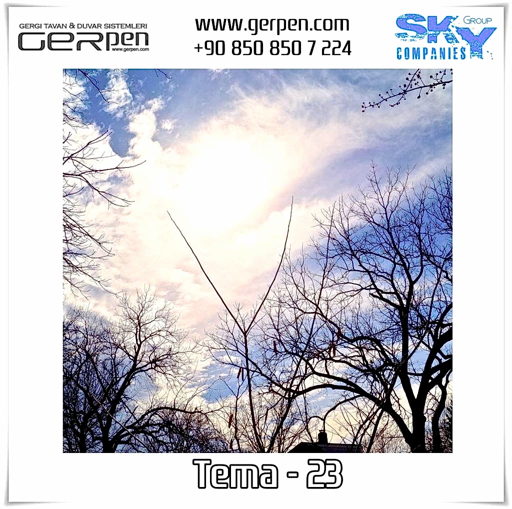 Gergi Tavan Ağaçlı Gökyüzü Tema 23