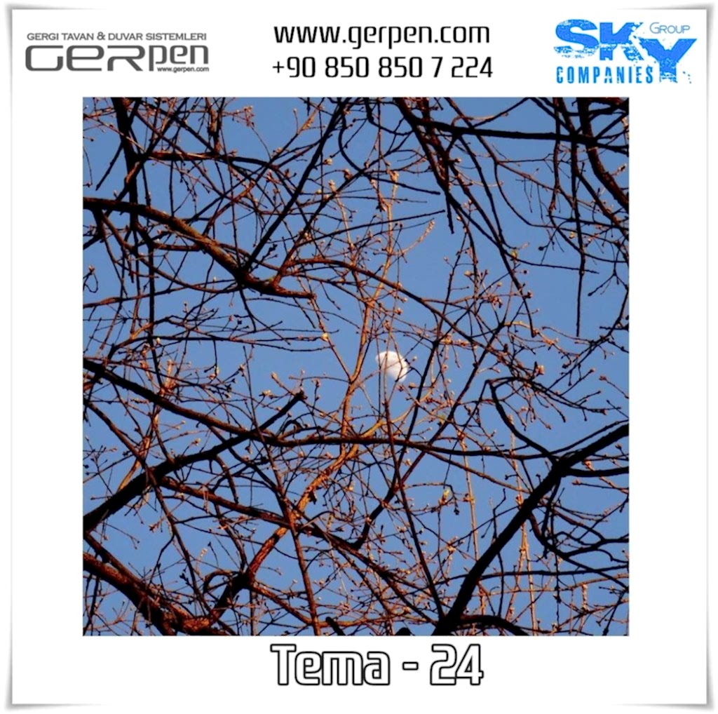 Gergi Tavan Ağaçlı Gökyüzü Tema 24