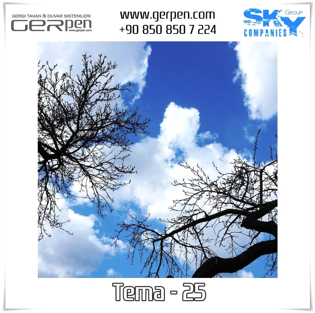Gergi Tavan Ağaçlı Gökyüzü Tema 25