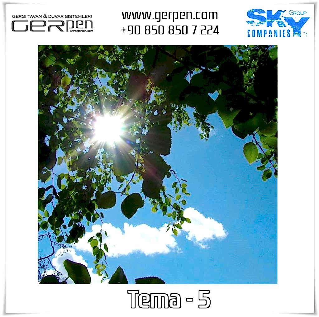 Gergi Tavan Ağaçlı Gökyüzü Tema 5