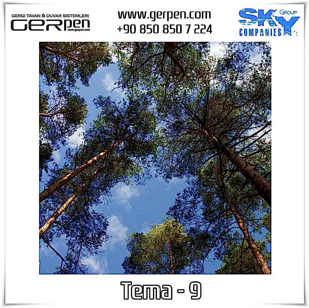 Gergi Tavan Ağaçlı Gökyüzü Tema 9