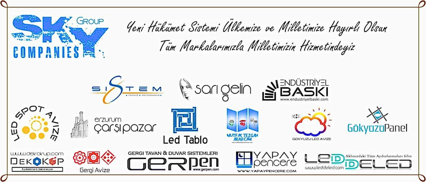 Yeni Hükümet Sistemi